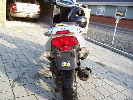 PGO dr.big   solgt billede 7