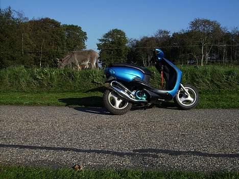 Yamaha Neos byttet med jog savn! billede 13