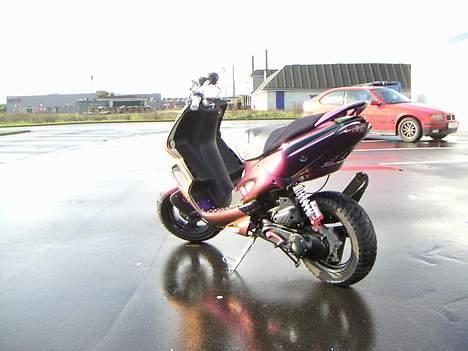 Peugeot Speedfight 2 Kæmelion  billede 4