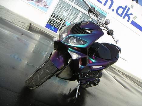 Peugeot Speedfight 2 Kæmelion  billede 16