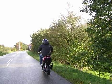 Peugeot Speedfight 2 Kæmelion  billede 18