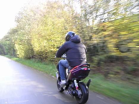 Peugeot Speedfight 2 Kæmelion  billede 19