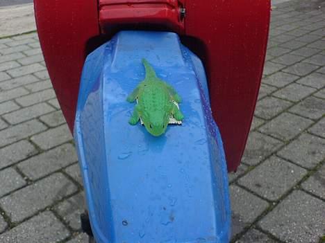 Honda Melody SOLGT billede 9