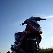 Peugeot Speedfight Rally Victory