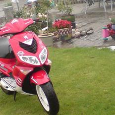 Peugeot speedfight 2 