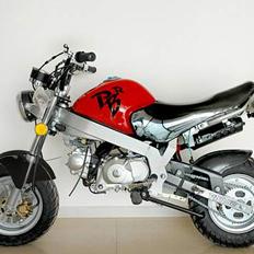 Skyteam PBR 50/125 Cool project!