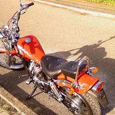 Regal Raptor STJÅLET! dusør ..