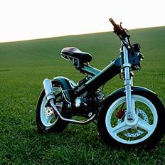 Sachs Madass(Kamæleon) Solgt:( 