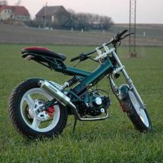 Sachs Madass(Kamæleon) Solgt:( 