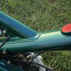 Sachs Madass(Kamæleon) Solgt:( 