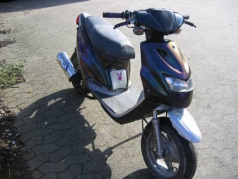 CPI Chameleonen billede 1