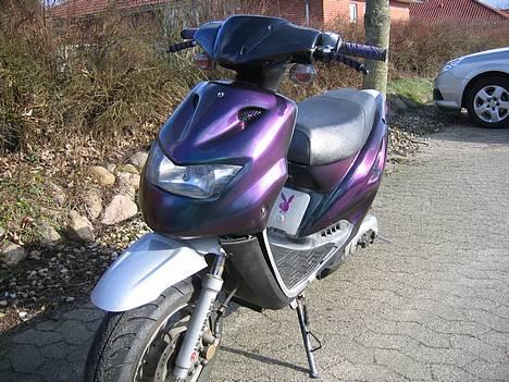 CPI Chameleonen billede 2