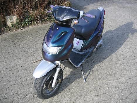 CPI Chameleonen billede 4