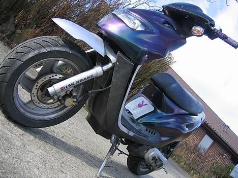 CPI Chameleonen billede 5