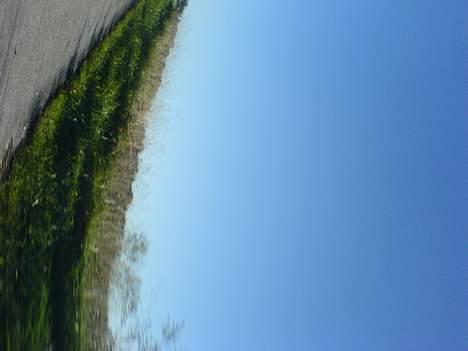 Honda sfx solgt  billede 2