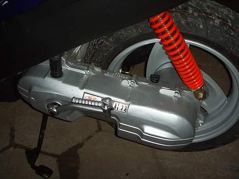 Adly Blue Rebel billede 5