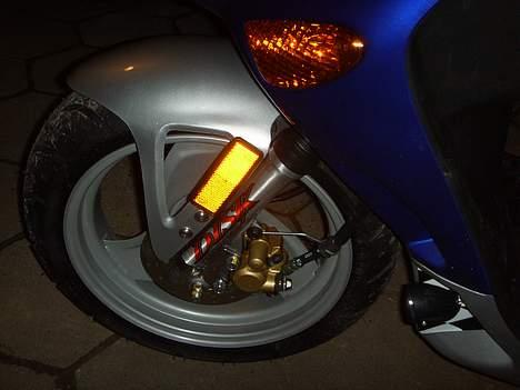 Adly Blue Rebel billede 6