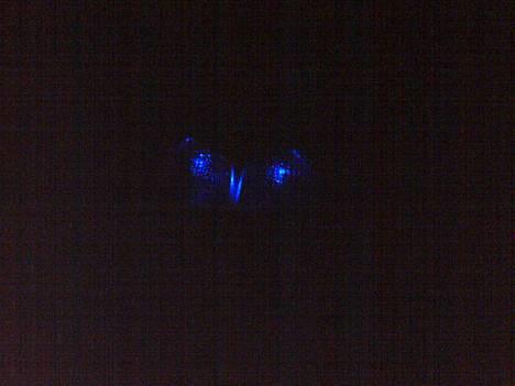 Gilera stalker BYTTET - min stalker og min hot billede 12