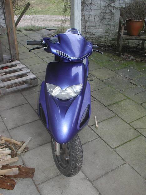Honda SFX =/ Har den ikke mere billede 2