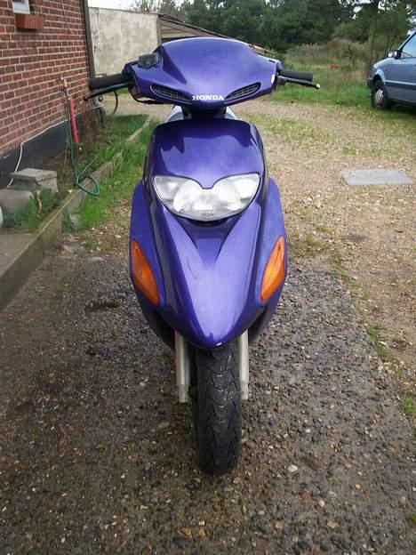 Honda SFX =/ Har den ikke mere billede 5