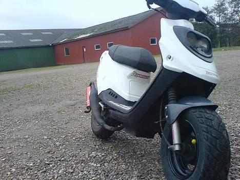 PGO hot 50  byttet til BWS billede 7