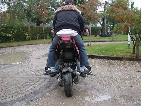 PGO Hot 50 billede 5