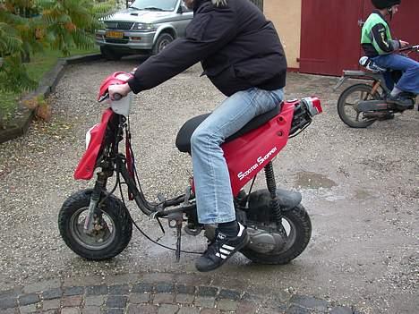 PGO Hot 50 billede 8