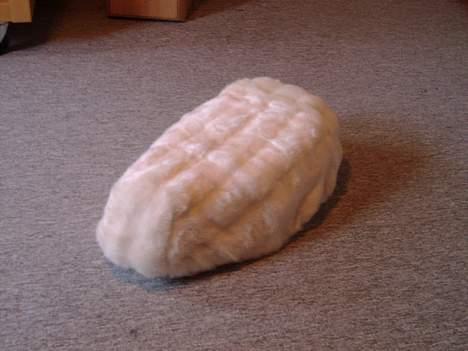 Honda Melody -  SOLGT -  - Plyssædet (: billede 16