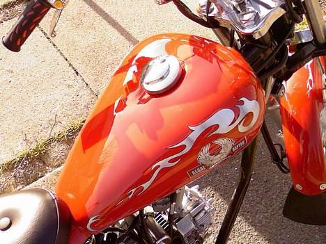 Regal Raptor STJÅLET! dusør .. billede 2