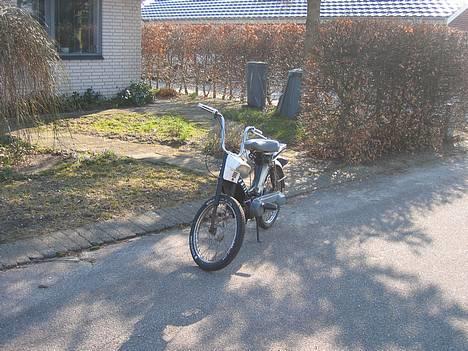 Honda Camino - Babe - Solgt - d. 26/3 billede 1