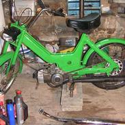 Puch maxxxxxxi