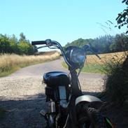 Suzuki FZ-50