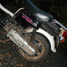 Suzuki             Fz50 [BYTTET]