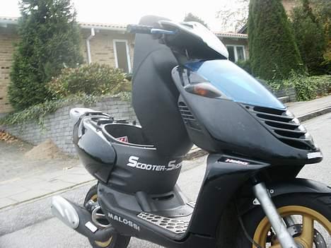 Aprilia Sonic billede 9