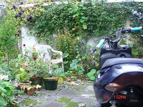 Aprilia Sonic //BYTTET// billede 10