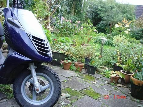 Aprilia Sonic //BYTTET// billede 15