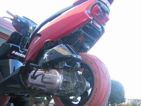 Honda  SFX [ solgt ] - Se udskæring "Hebo" under, fin malet motorblok, vario skjold ovs (: billede 3