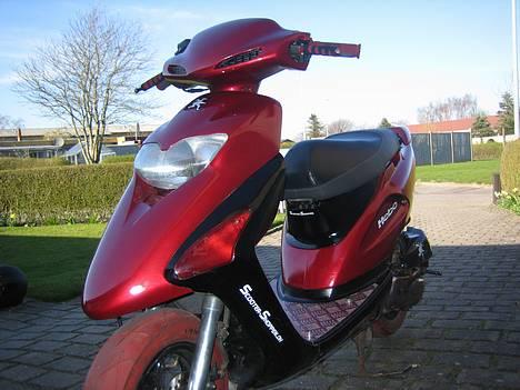 Honda  SFX [ solgt ] - Udenfor + Solen skinner (: billede 4