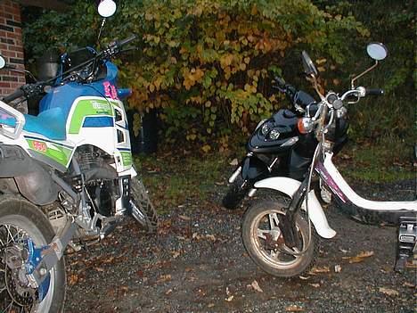 Suzuki             Fz50 [BYTTET] billede 5