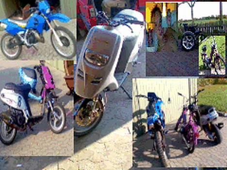 Piaggio typhoon solgt billede 8