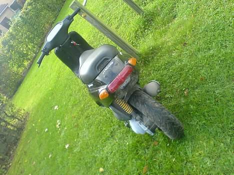 Piaggio Typhoon billede 4