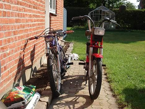 Puch Maxi **Porno**  billede 14