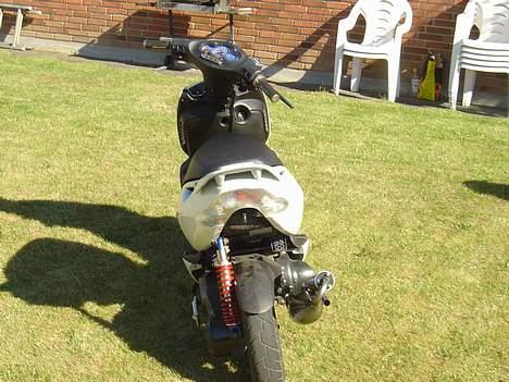 Aprilia sonic GP   billede 8