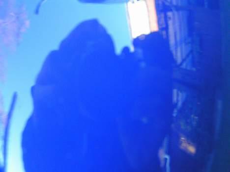 Suzuki street magic byttet billede 12