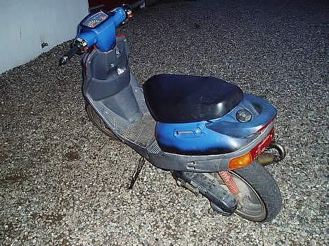 Adly Cat (Solgt) billede 2