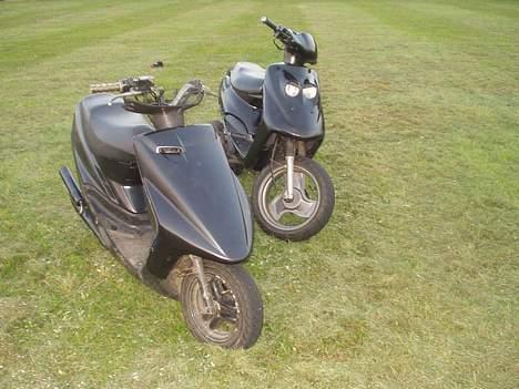 Adly Cat (Solgt) - Min Adly og Metzgers Axis billede 3