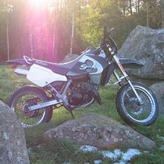 Suzuki SMX