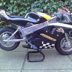 MiniBike MiniBike (STJÅLET)