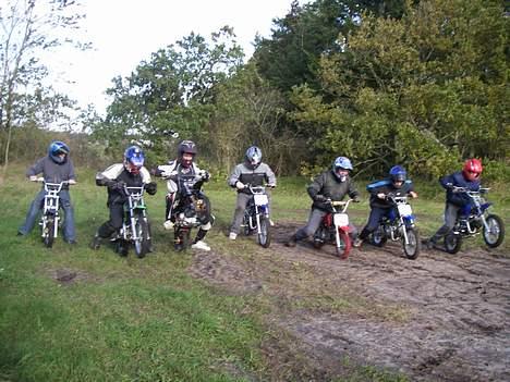 MiniBike 125 Dirtbike  billede 17