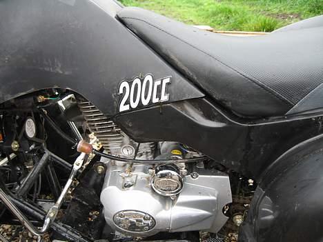 Yamaha tzr (smadret) billede 18